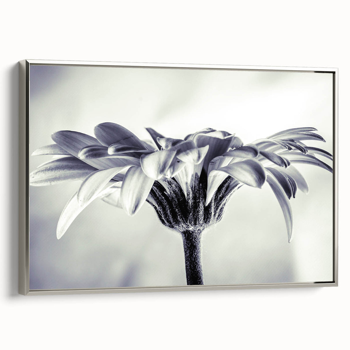 Framed canvas wall art featuring a botanical daisy design with silver accents, showcasing vibrant flowers against a soft background, ideal for home decor.