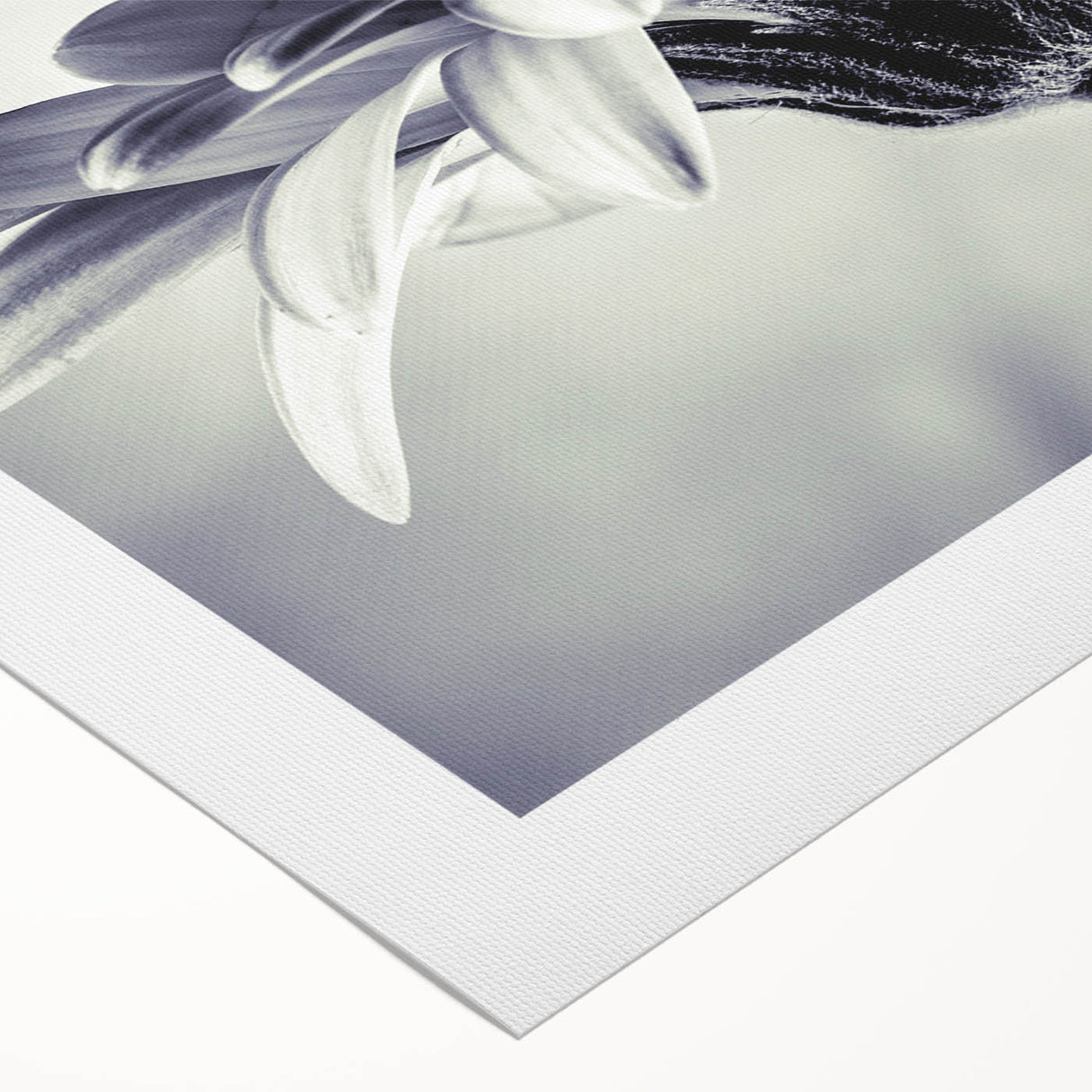 Rolled canvas featuring a vibrant botanical daisy wall art design, showcasing intricate floral details in bright colors, ideal for home decor and art enthusiasts.
