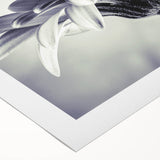 Rolled canvas featuring a vibrant botanical daisy wall art design, showcasing intricate floral details in bright colors, ideal for home decor and art enthusiasts.