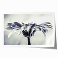 Rolled botanical wall art print showcasing a vibrant daisy design, featuring intricate floral details and bright colors, ideal for home decor enhancement.