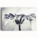 Botanical daisy wall art canvas print showcasing a vibrant floral design in shades of yellow and white, perfect for brightening any home decor setting. This stretched canvas piece adds a cheerful touch to living spaces, emphasizing nature's beauty.