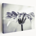 Stretched canvas wall art showcasing a vibrant botanical daisy design with intricate floral details, ideal for brightening home decor.