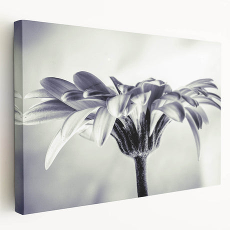 Stretched canvas wall art showcasing a vibrant botanical daisy design with intricate floral details, ideal for brightening home decor.