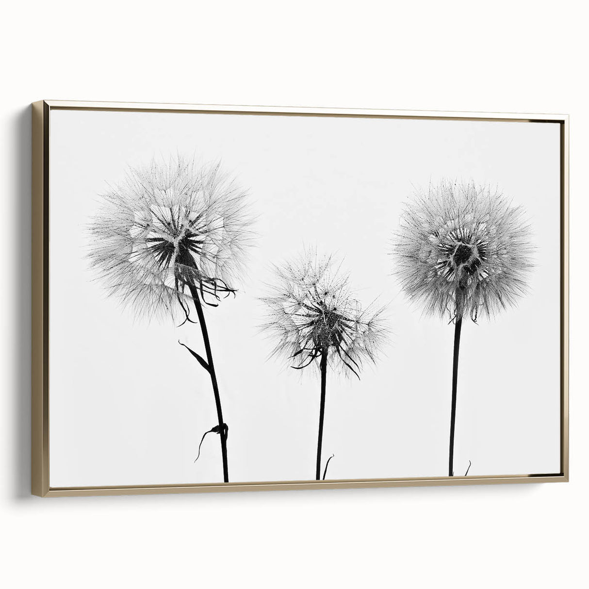 Framed wall art showcasing a detailed botanical dandelion design on a textured canvas, featuring elegant gold accents and a stylish side view, perfect for home decor.
