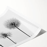 Botanical wall art print showcasing a delicate dandelion design in soft pastel colors, rolled and ready for framing, perfect for enhancing any nature-inspired decor.