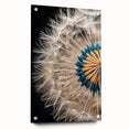 Acrylic glass wall art showcasing a botanical dandelion design, elegantly pinned against a neutral backdrop, highlighting intricate details and vibrant colors. Perfect for home decor enthusiasts seeking nature-inspired aesthetics.