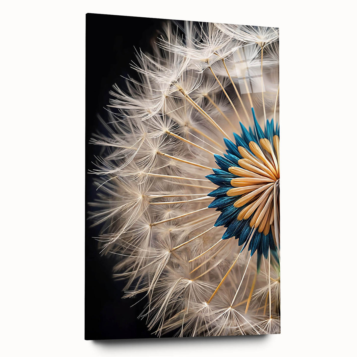 Dandelion wall art design printed on acrylic glass, showcasing delicate floral details and vibrant colors, ideal for modern home decor and botanical enthusiasts.