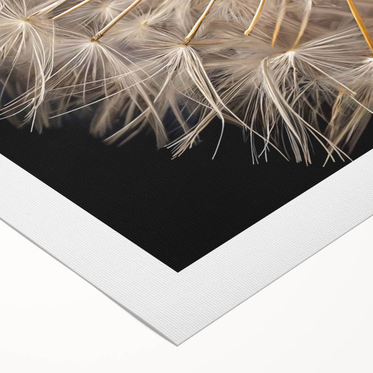 Botanical wall art design featuring dandelions on a rolled canvas, showcasing intricate details and vibrant colors, perfect for home decor and nature lovers.