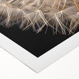 Botanical wall art design featuring dandelions on a rolled canvas, showcasing intricate details and vibrant colors, perfect for home decor and nature lovers.