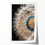 Botanical wall art print featuring a detailed dandelion design in soft pastel colors, rolled for easy display or framing, perfect for home decor enthusiasts.