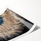 Botanical wall art print showcasing a beautifully detailed dandelion design, featuring soft colors and intricate textures, perfect for home decor or nature-themed spaces.
