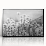 Framed black wall art showcasing a detailed botanical dandelion design, featuring intricate flower illustrations against a white background, ideal for home decor.