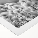 Botanical wall art featuring a dandelion design on rolled canvas, showcasing intricate details and soft colors, perfect for home decor or nature-themed spaces.
