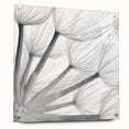 Botanical wall art featuring a delicate dandelion design on acrylic glass, showcasing vibrant colors and intricate details, elegantly displayed with pins against a neutral background.