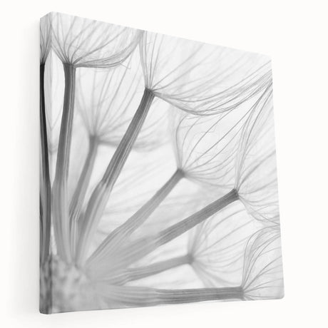 Stretched canvas wall art depicting a delicate dandelion design with intricate botanical details, showcasing soft colors and a modern aesthetic, perfect for home decor.