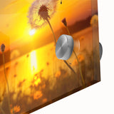 Close-up of a botanical dandelion wall art design printed on acrylic glass, showcasing delicate details and vibrant colors, ideal for nature-themed decor.
