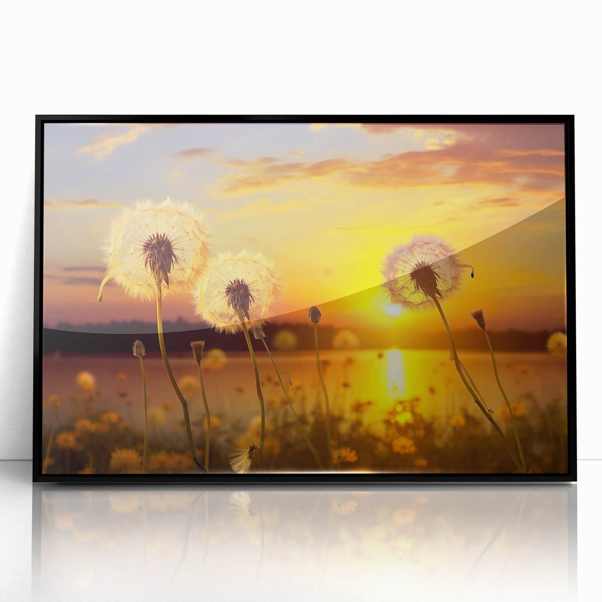 Framed acrylic wall art featuring a detailed botanical design of dandelions, displayed in a sleek black frame, perfect for adding a touch of nature to modern decor.