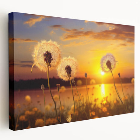 Stretched canvas wall art featuring a botanical dandelion design, showcasing delicate white flowers against a soft pastel background, perfect for home decor.