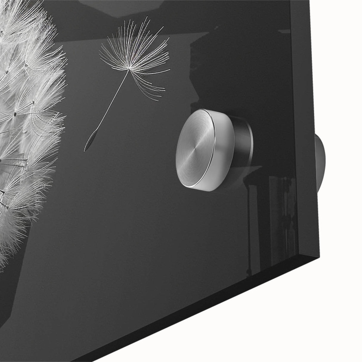 Close-up of a vibrant botanical wall art design featuring delicate dandelions on an acrylic glass surface, ideal for home decor or nature-themed interiors.