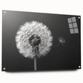 Elegant dandelion botanical wall art design displayed in acrylic glass, showcasing intricate floral details and vibrant colors, ideal for home decor.