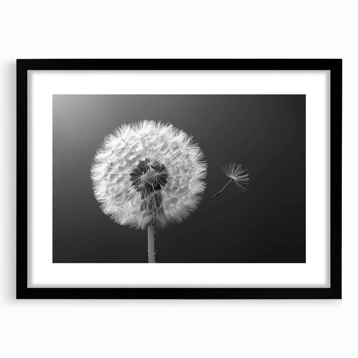 Framed botanical wall art featuring a detailed dandelion design in black, showcasing delicate white flowers against a sleek black frame, perfect for modern decor.