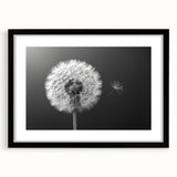 Framed botanical wall art featuring a detailed dandelion design in black, showcasing delicate white flowers against a sleek black frame, perfect for modern decor.