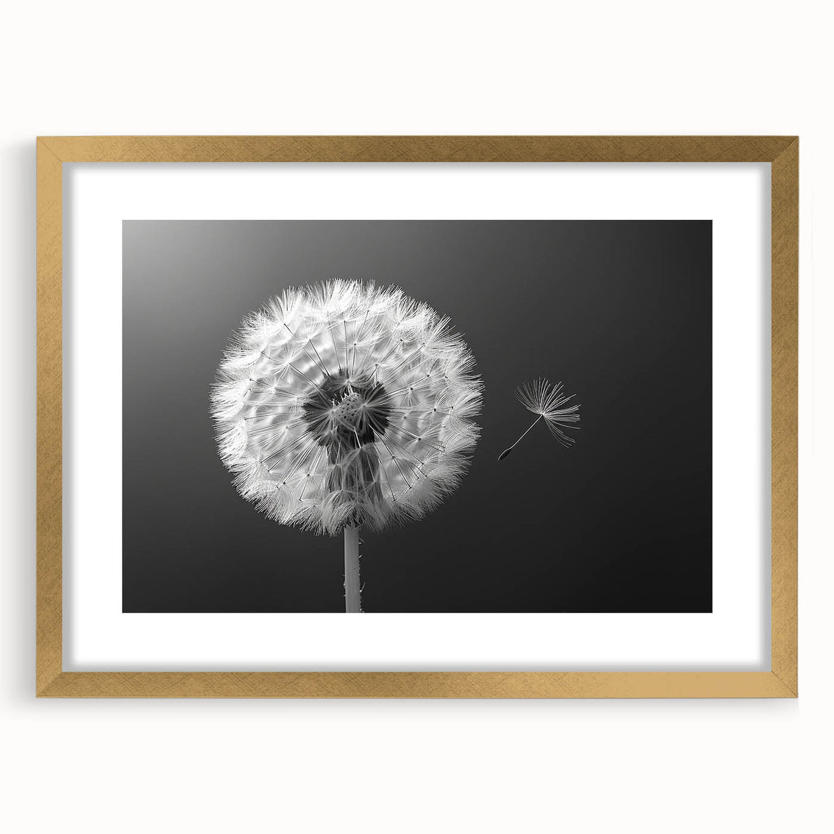 Botanical wall art featuring a delicate dandelion design in a stylish gold frame, complete with a mat for a refined presentation, perfect for enhancing home decor.