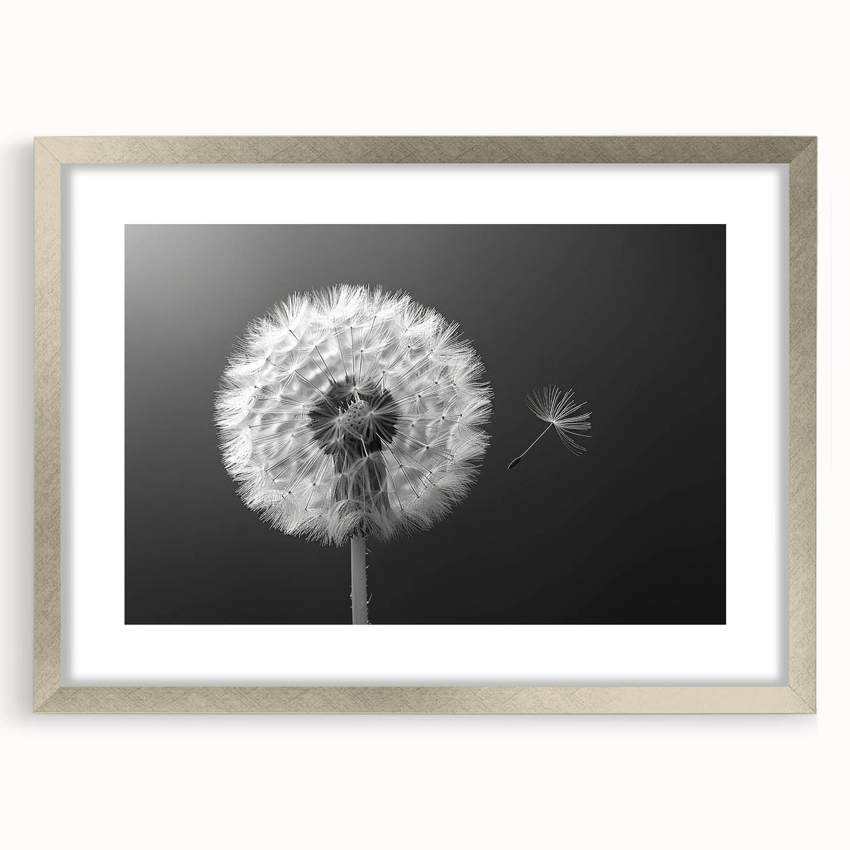 Botanical wall art featuring a delicate dandelion design, framed with a silver mat, perfect for adding a touch of nature-inspired elegance to any decor.