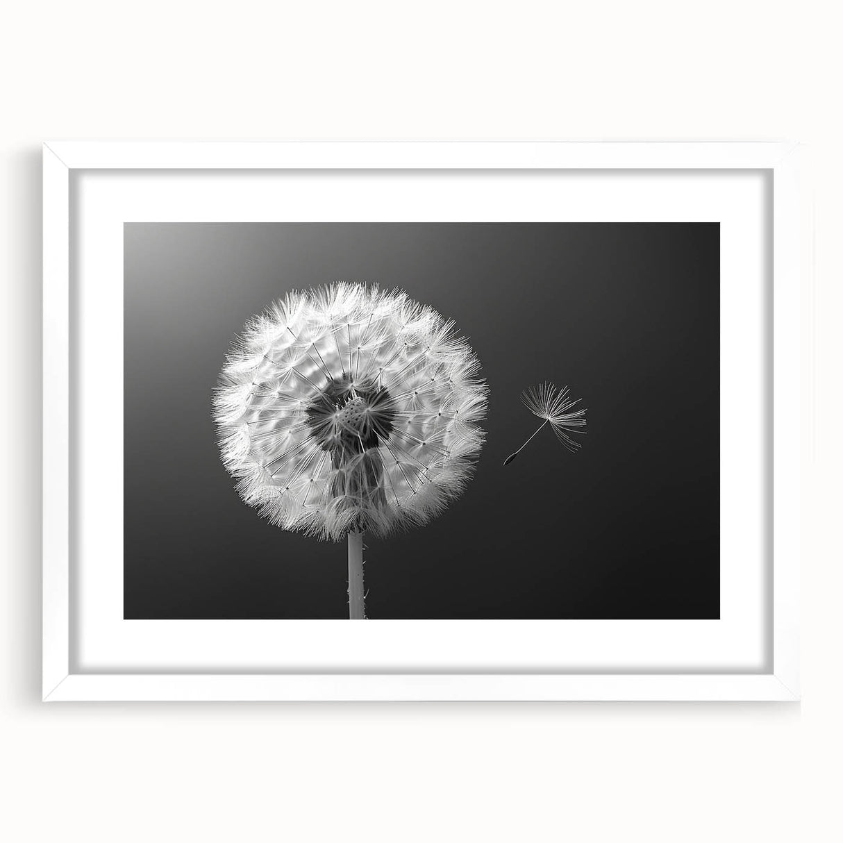 Framed botanical wall art featuring a detailed dandelion design in a white mat, showcasing delicate textures and natural elegance, perfect for home decor.