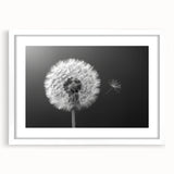 Framed botanical wall art featuring a detailed dandelion design in a white mat, showcasing delicate textures and natural elegance, perfect for home decor.
