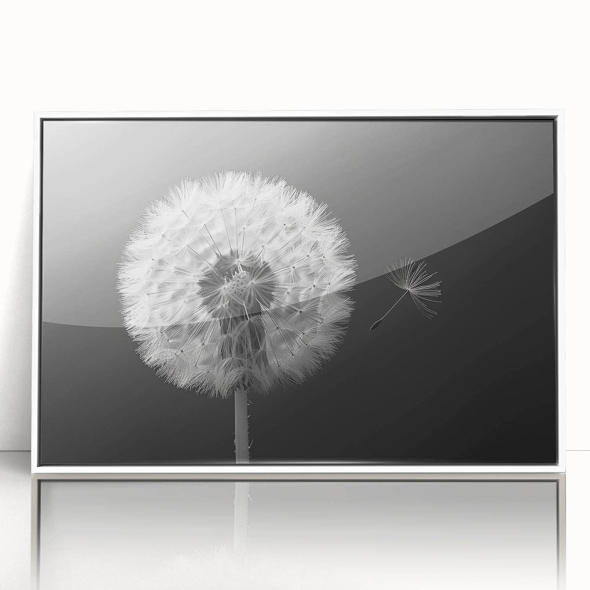 Framed wall art featuring a botanical dandelion design in vibrant colors, set in a sleek white frame, ideal for home decor and nature enthusiasts.