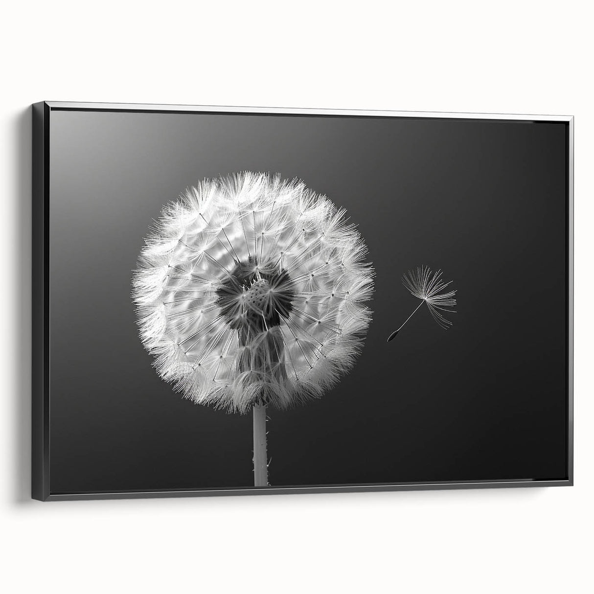 Framed black canvas wall art featuring a detailed botanical dandelion design, showcasing intricate textures and vibrant colors, ideal for modern home decor.