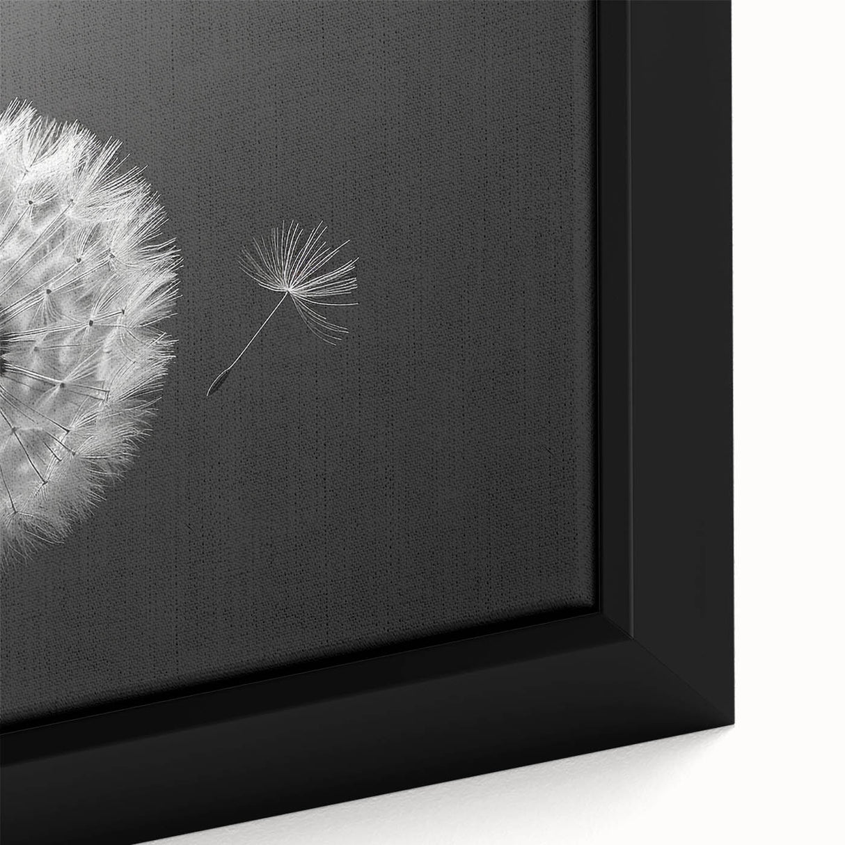Close-up of a framed canvas wall art featuring a detailed botanical dandelion design, showcasing delicate white flower petals against a soft green background, ideal for nature-themed decor.