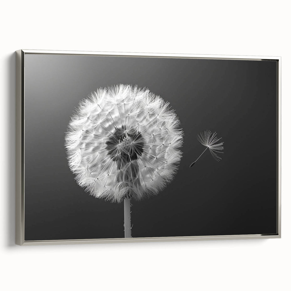 Framed wall art collection showcasing a botanical dandelion design on canvas, featuring a sleek silver frame and a side view that highlights its elegant aesthetic. Perfect for home decor enthusiasts looking to add a touch of nature-inspired elegance to their living space.