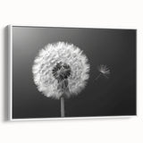 Framed canvas wall art showcasing a botanical dandelion design in monochrome tones, ideal for modern home decor. Features a sleek white frame, enhancing elegance and style.