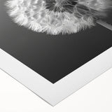 Rolled canvas showcasing a detailed botanical dandelion design in soft yellows and greens, ideal for home decor, framed art displays, or nature-themed interiors.