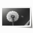 Botanical dandelion wall art print showcasing intricate floral details in soft pastel colors, rolled and ready for framing, perfect for home decor enthusiasts.