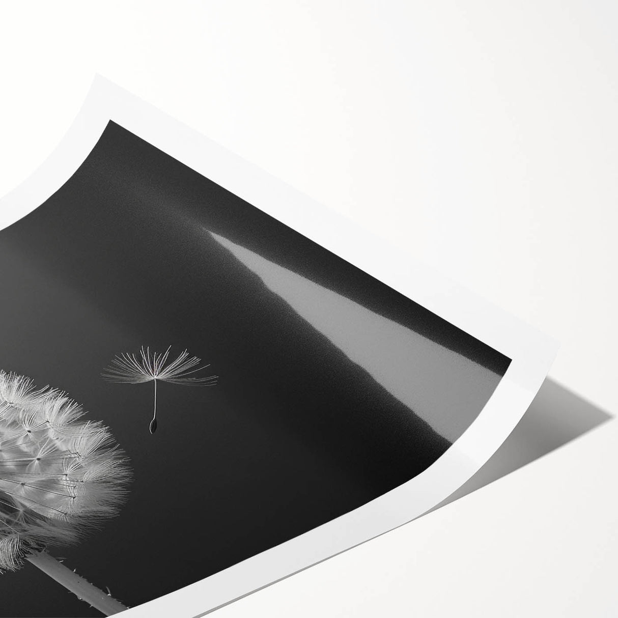 Botanical wall art featuring an elegant dandelion design in soft pastel colors, rolled and ready for framing, perfect for home decor enthusiasts.