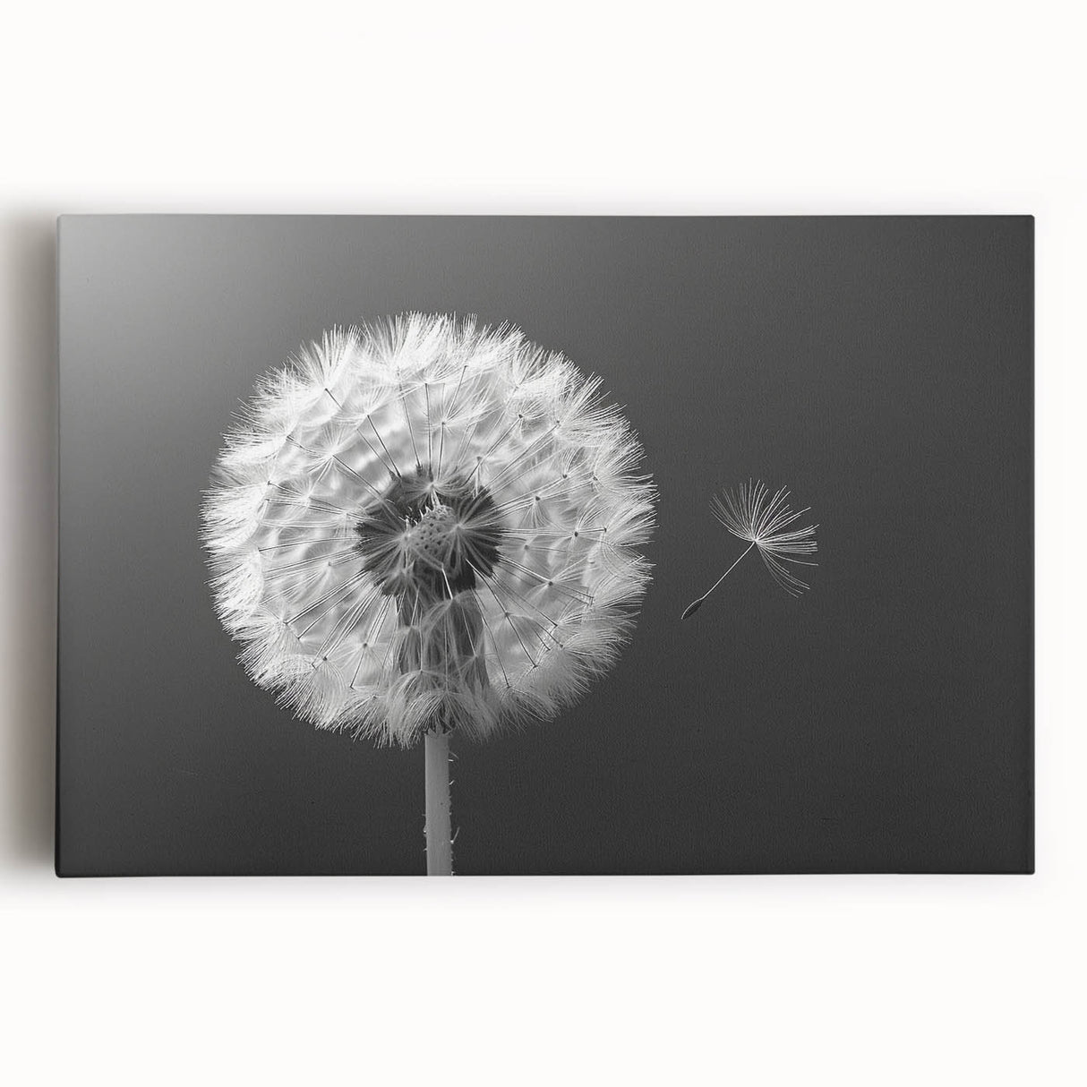 Stretched canvas wall art showcasing a vibrant botanical design of dandelions, featuring intricate details and a modern aesthetic, perfect for home decoration.
