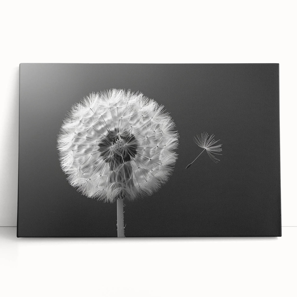Dandelion botanical wall art design on stretched canvas, showcasing delicate flower details in soft hues, perfect for home decor or nature-inspired spaces.