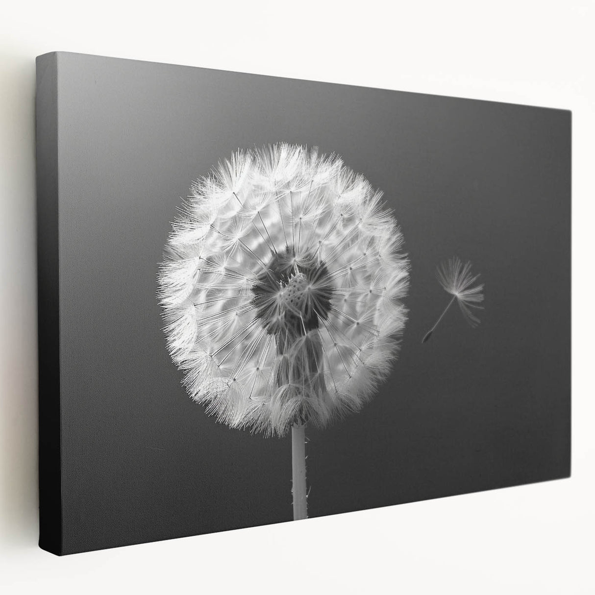 Stretched canvas wall art showcasing a detailed botanical design of a dandelion, featuring vibrant colors and a textured finish, ideal for home decor.