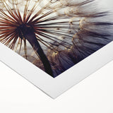 Botanical wall art print showcasing an intricate dandelion design on rolled canvas, featuring delicate details and a soft color palette, perfect for home decor.