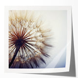 Rolled botanical wall art print featuring a detailed dandelion design with soft pastel colors, perfect for home decor and nature-themed interiors.