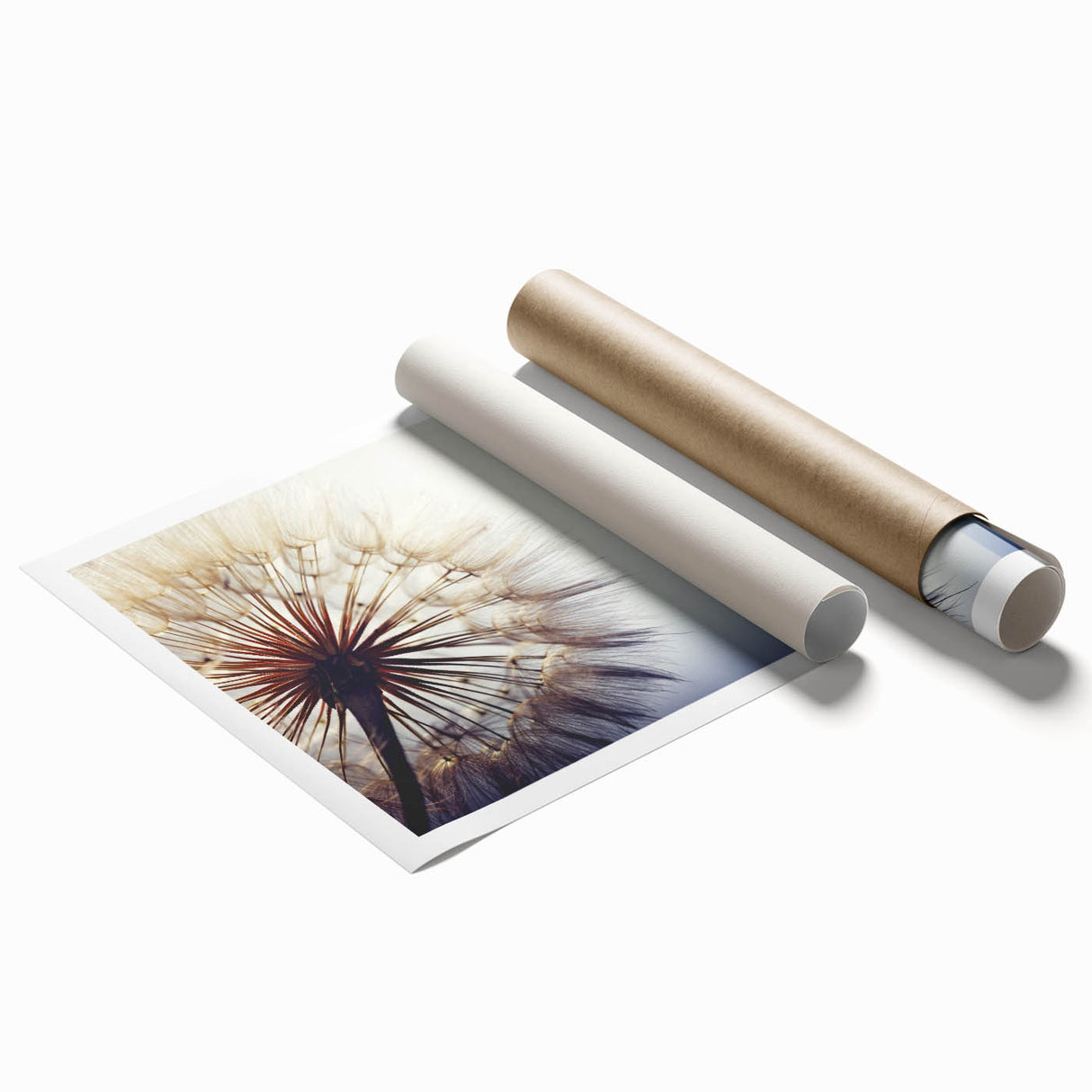 Delicate botanical wall art print showcasing a detailed dandelion design in soft colors, rolled for easy display, perfect for home or office decor.
