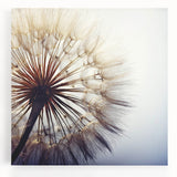 Stretched canvas wall art showcasing a vibrant botanical dandelion design, featuring intricate details and bright colors, perfect for home decor enhancement.