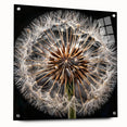 Acrylic glass wall art collection featuring a botanical dandelion design, side view showcasing intricate details and pins, set against a neutral background. Ideal for home décor enthusiasts seeking nature-inspired aesthetics.