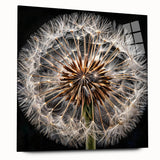 Botanical wall art featuring a delicate dandelion design on acrylic glass, showcasing vibrant colors and intricate details, perfect for modern home decor. Ideal for enhancing interior aesthetics with a touch of nature-inspired elegance.