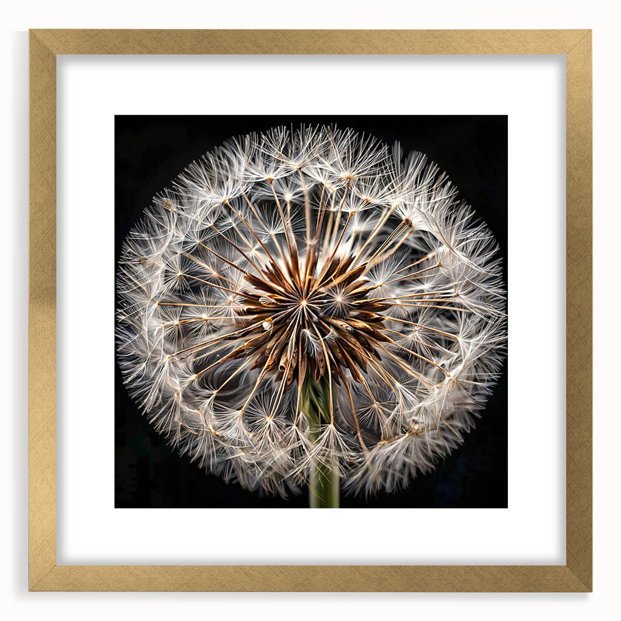Gold-framed botanical wall art featuring a delicate dandelion design on a white background, perfect for adding elegance to any home decor. Ideal for nature lovers.