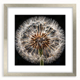 Framed botanical wall art featuring a delicate dandelion design in a silver frame, complete with a mat for an elegant presentation, perfect for home decor.