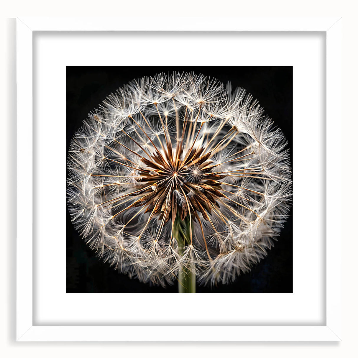 Framed botanical wall art featuring a delicate dandelion design in shades of white and green, elegantly matted, perfect for enhancing home decor with nature-inspired aesthetics.